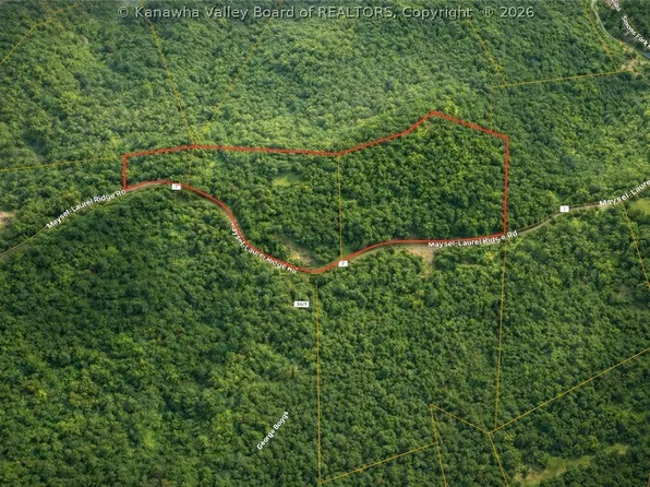 0 Cty Route 7/3, Maysel, WV 25133