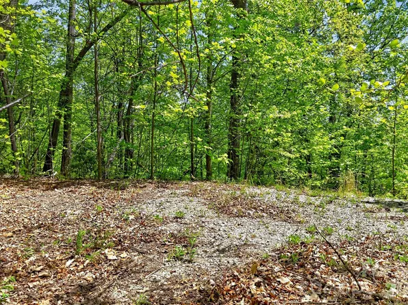 0 Bobcat Dr #741, Old Fort, NC 28762