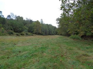 2326 Blue Lick Rd, Winfield, WV 25213