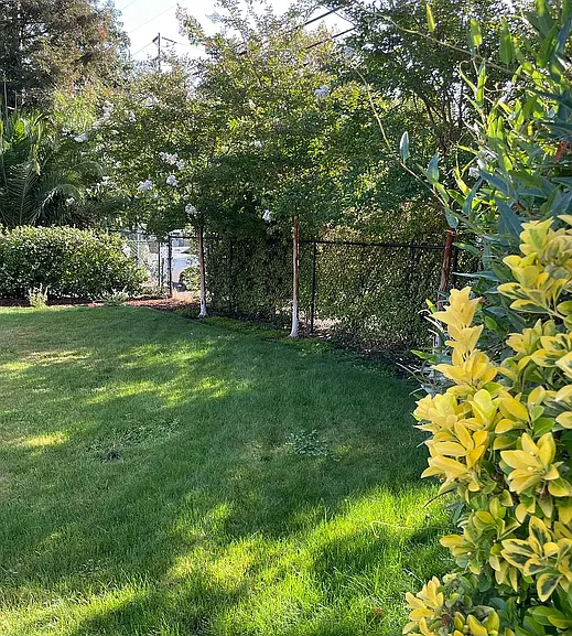 4 bed, 1580 sqft, $6,500 — Photo 3