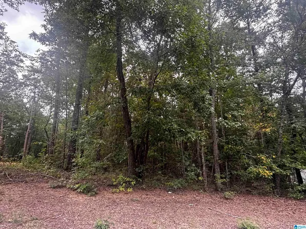 106 Wilson Glen Dr #43, Wilsonville, AL 35186