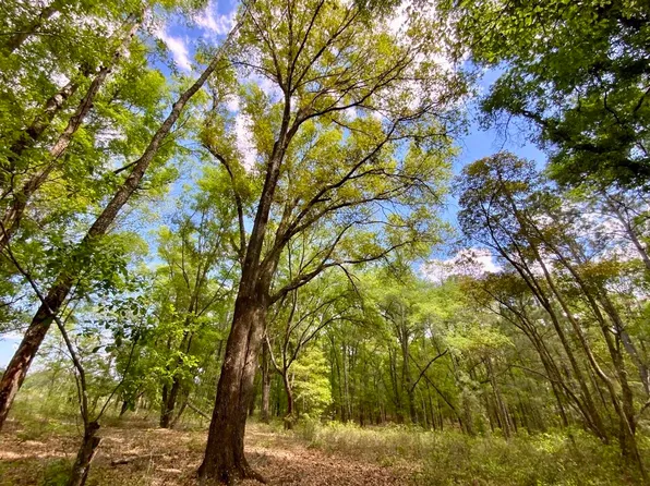 445 NE Gardenia Way, Madison, FL 32340