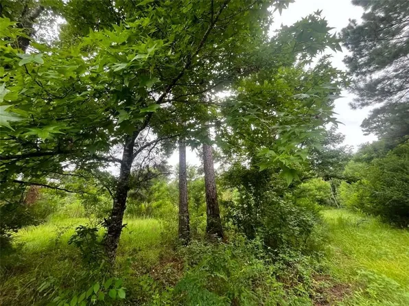 589 Tyler Cemetery Rd, Center Point, LA 71323