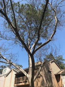 10130 Valley Forge Dr, Houston, TX, 77042