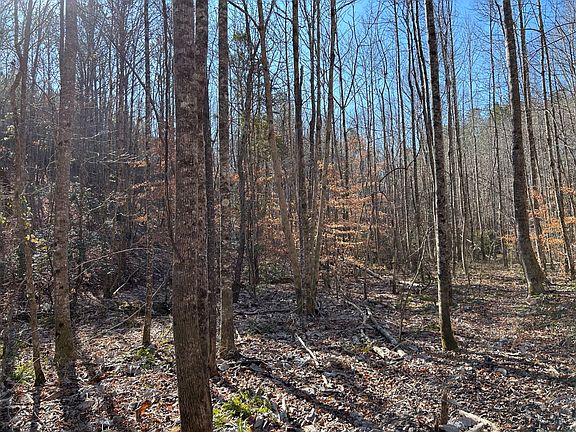 5th image of County Road 325