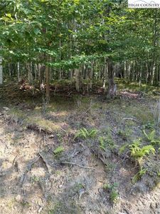 115 Locust Ridge Road, Banner Elk, NC, 28604