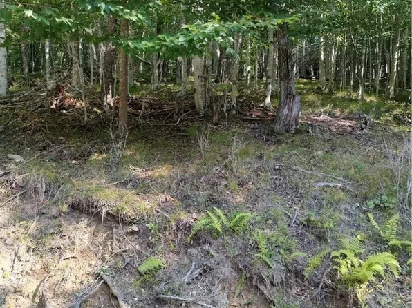 115 Locust Ridge Road, Beech Mountain, NC 28604