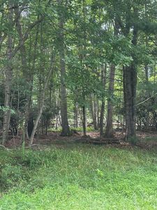 Tbd Carsonville Rd, Independence, VA, 24348