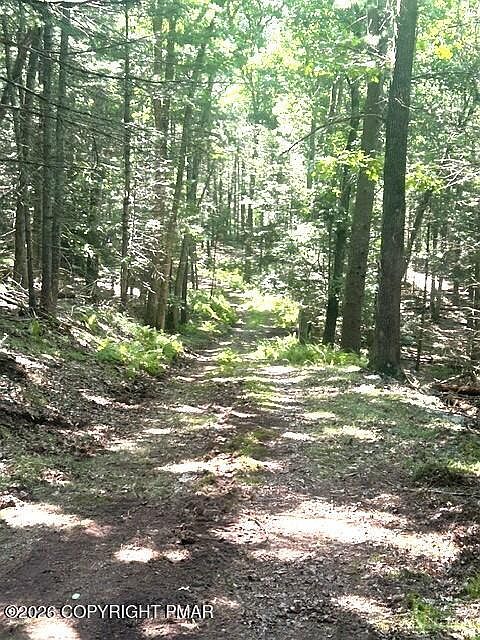 2nd image of Bear Town Rd