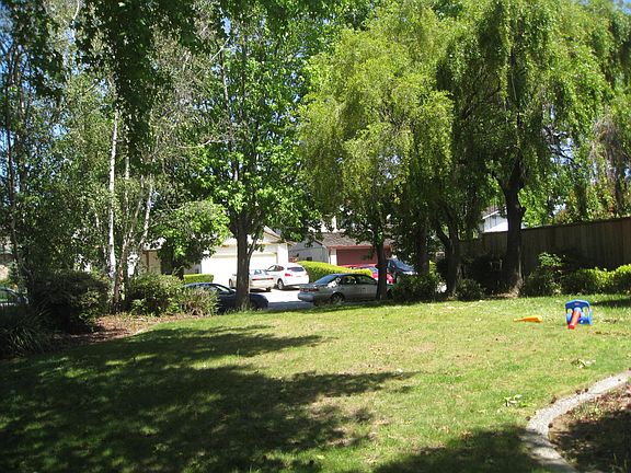Large front yard with lots of trees.