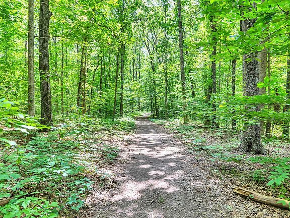 24th image of this home