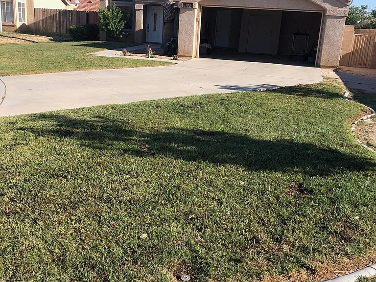 1156 Burroughs Ct — Photo 2