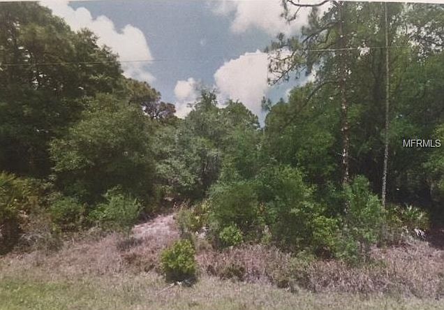 2nd image of 13156 Babcock Ave