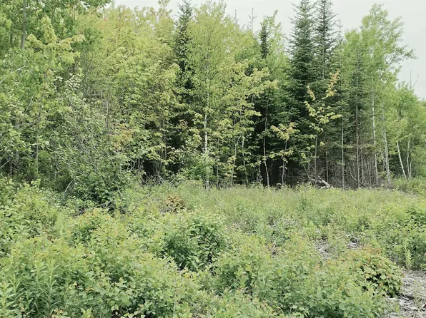LOT Linwood Harbour Rd E, Antigonish, NS B0H 1W0