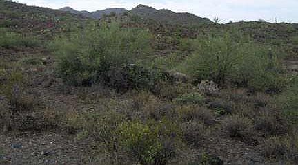2nd image of 46 N 27th Avenue #0