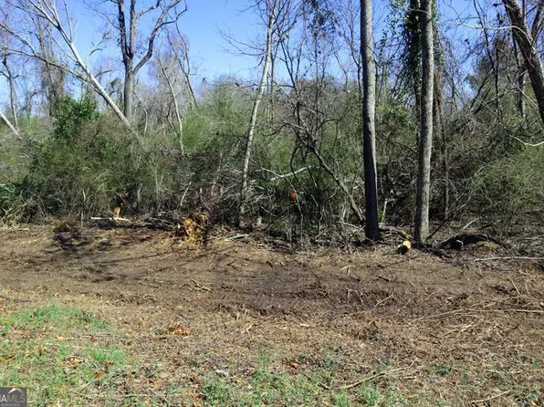 Lt1 Harrison Davisboro Rd #1, Davisboro, GA 31018