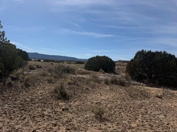 Buffalo Trl, Abiquiu, NM 87510