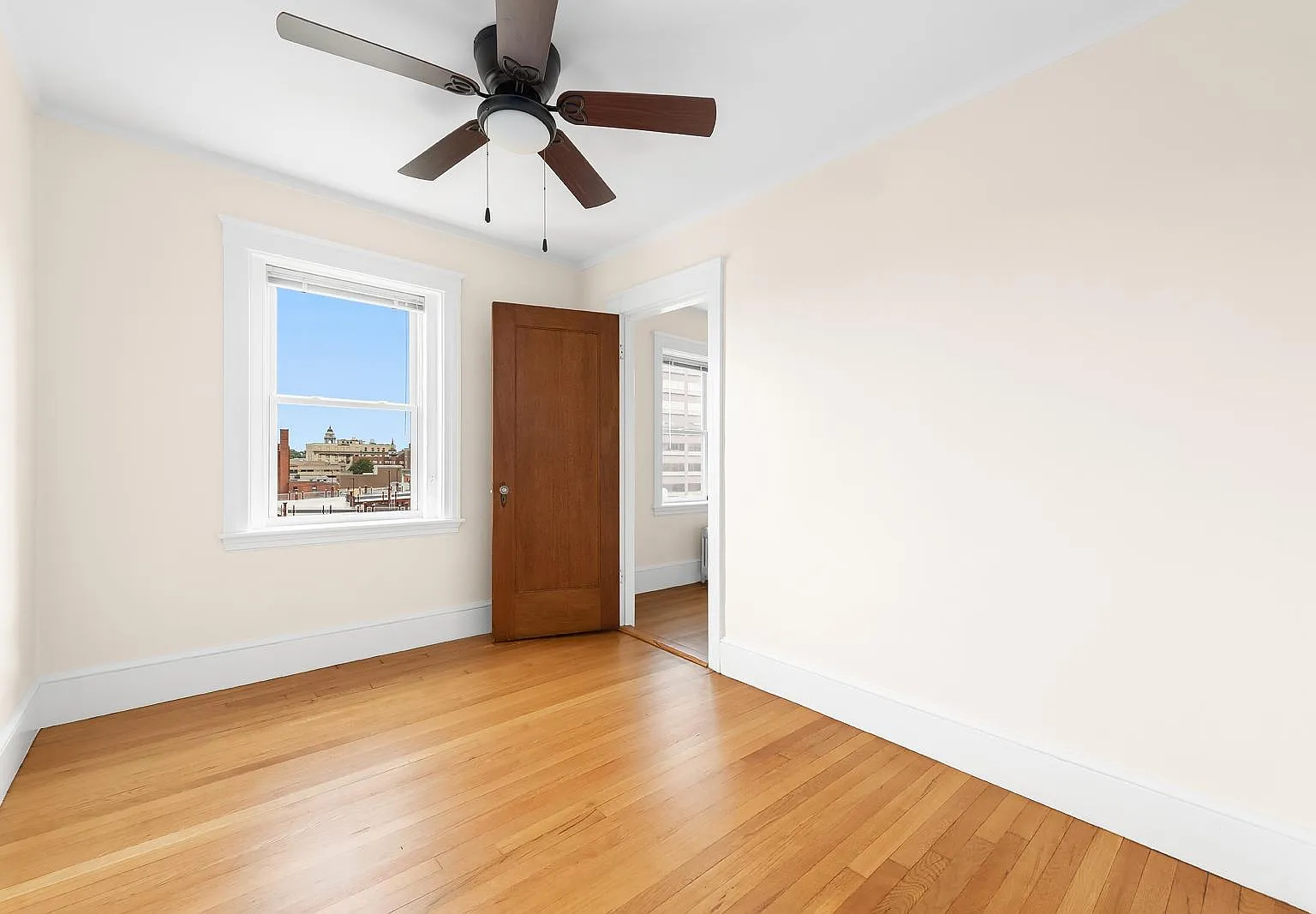 11 Shepley St — Photo 4