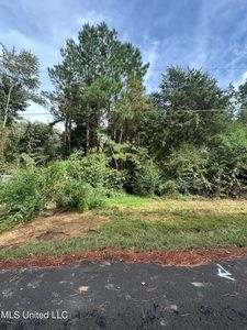 0 Lake Dr #42, Byhalia, MS, 38611