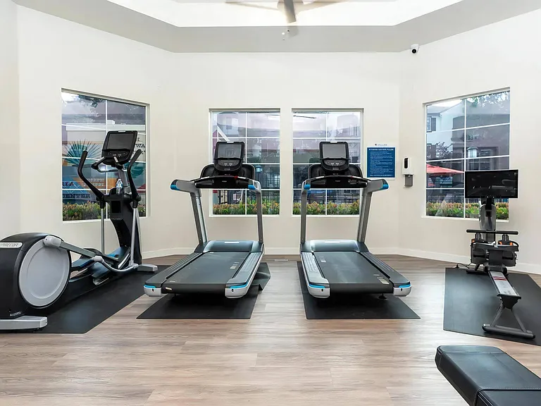 High-End Fitness Center with Full Cardio Setup and Mounted TV