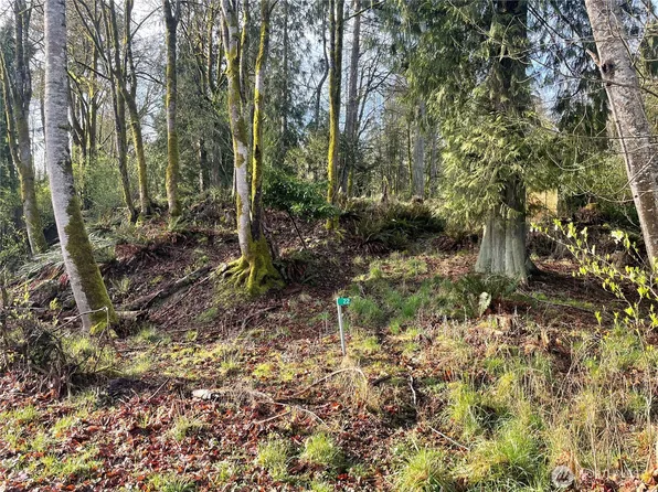 22 Willow Lane, Port Angeles, WA 98362