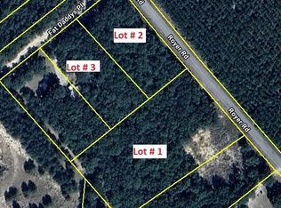 Lots 1 2 3 Royer Rd, Bishopville, SC 29010