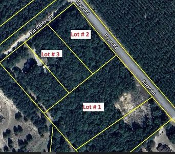 Lots 1 2 3 Royer Rd, Bishopville, SC, 29010