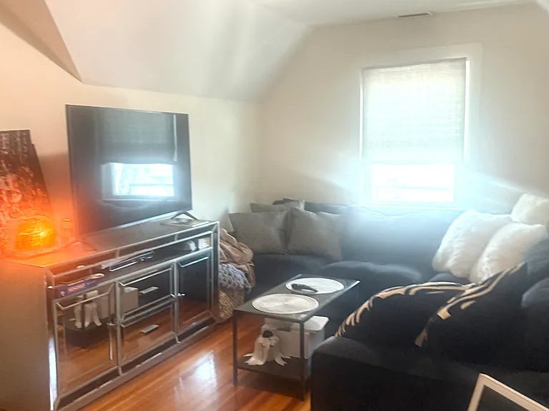 305 Milbank Ave #3 — Photo 4
