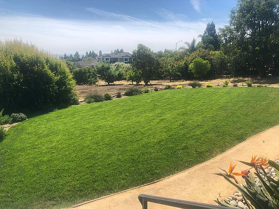 Front Orchard