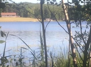 15021 Valley Dr, Wolverine, MI 49799