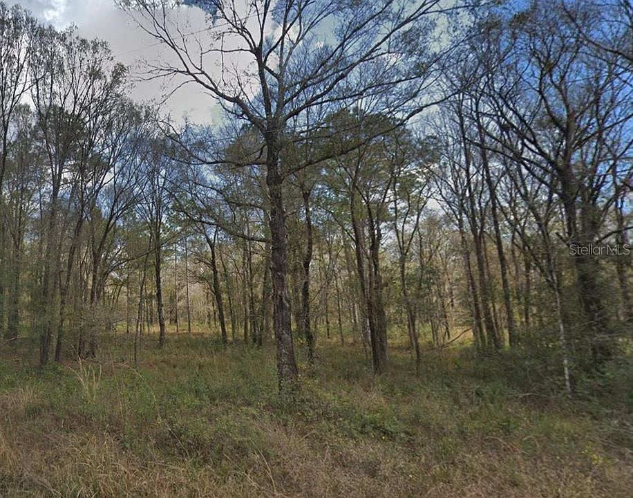 1st image of 10300 STYCKET AVENUE LOT 1024