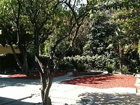 Huge Private Back Yard