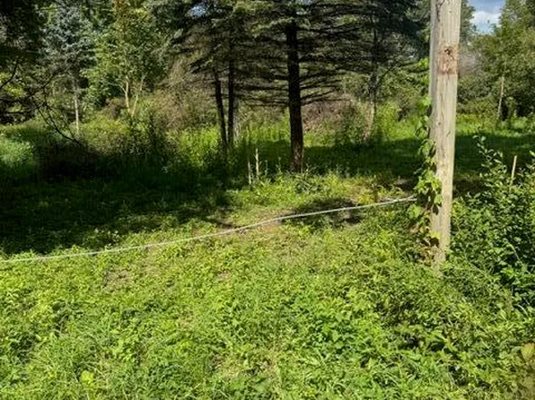 PARCEL Maple Cir #B, Hastings, MI 49058