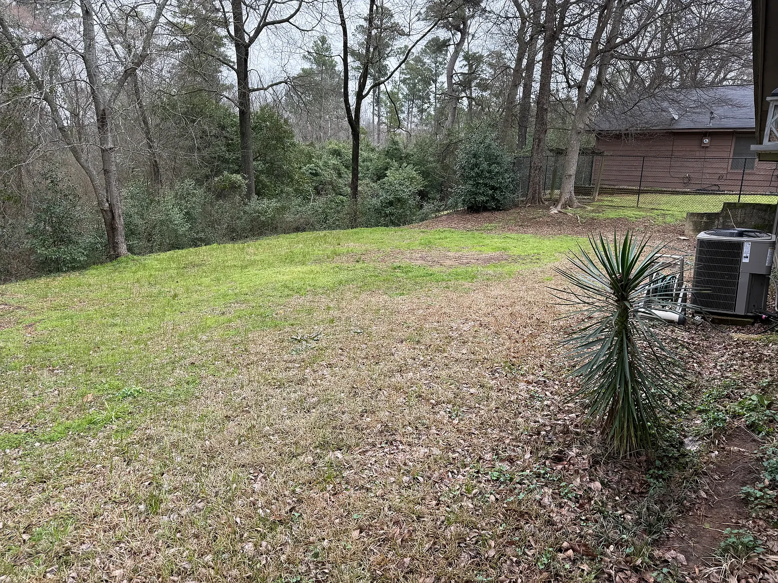 3 bed, 1233 sqft, $1,895 — Photo 2
