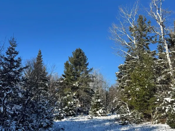 V/l 40ac Taylor Hawks Rd, Alpena, MI 49707