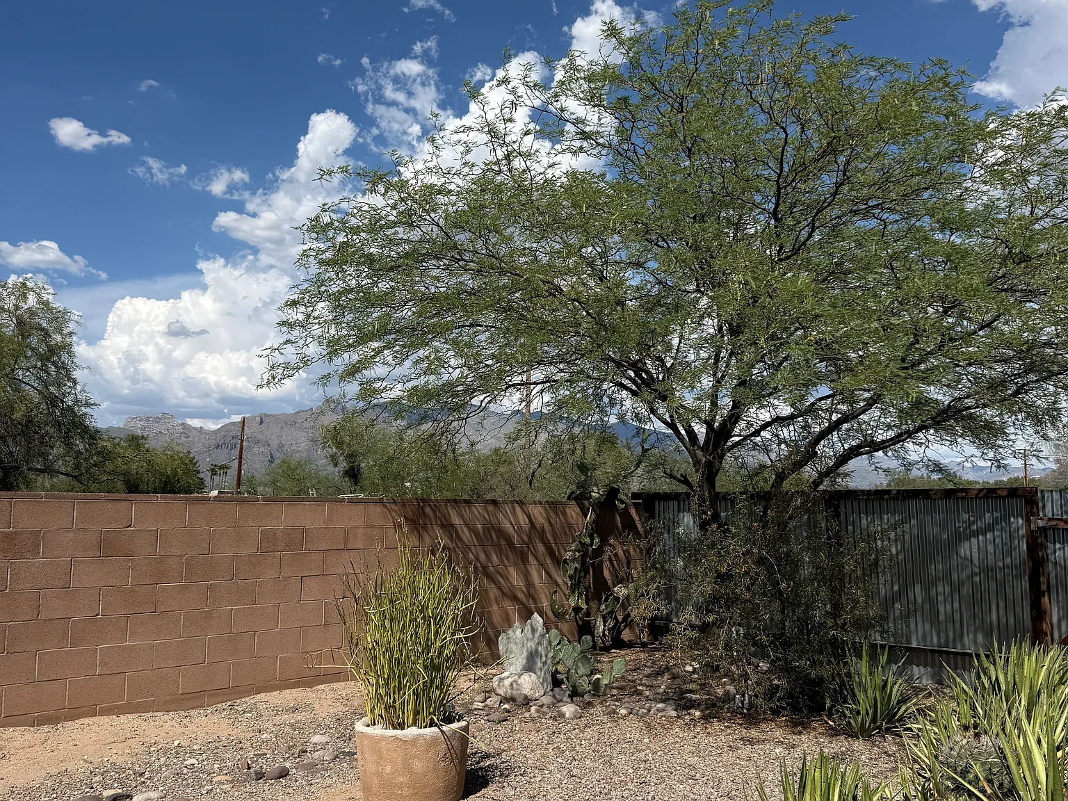1 bed, 800 sqft, $1,075 — Photo 4