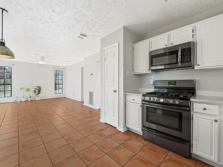 1555 Hillside Elm St — Photo 10