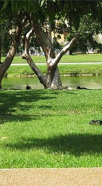 5th image of 10638 SW 148th Avenue Dr #000