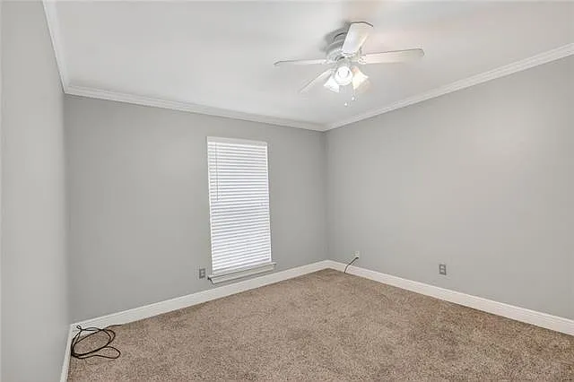 891 Cross Gates Blvd — Photo 21