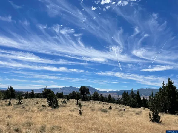 PARCEL 2429 Wiley Creek Dr, Dayville, OR 97825