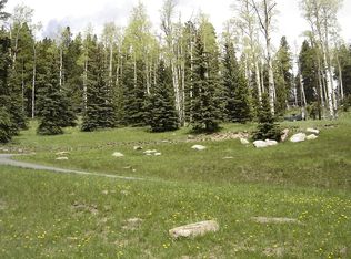 95 Meadowlark Dr, Evergreen, CO 80439