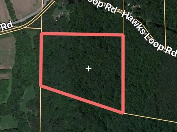 0 Hawks Loop Rd, Paris, TN 38242