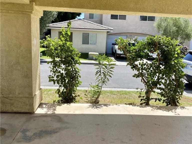33411 Campus Ln — Photo 13