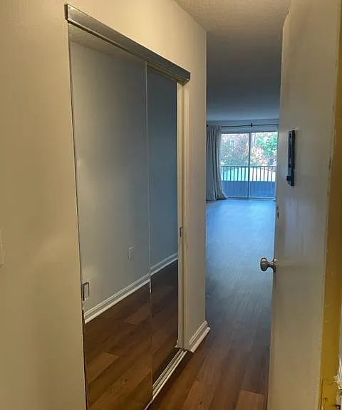 From the front door looking at hallway closet and into living room