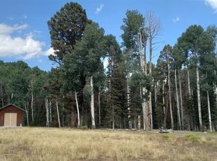 485 Aspen Dr, Cimarron, CO 81220