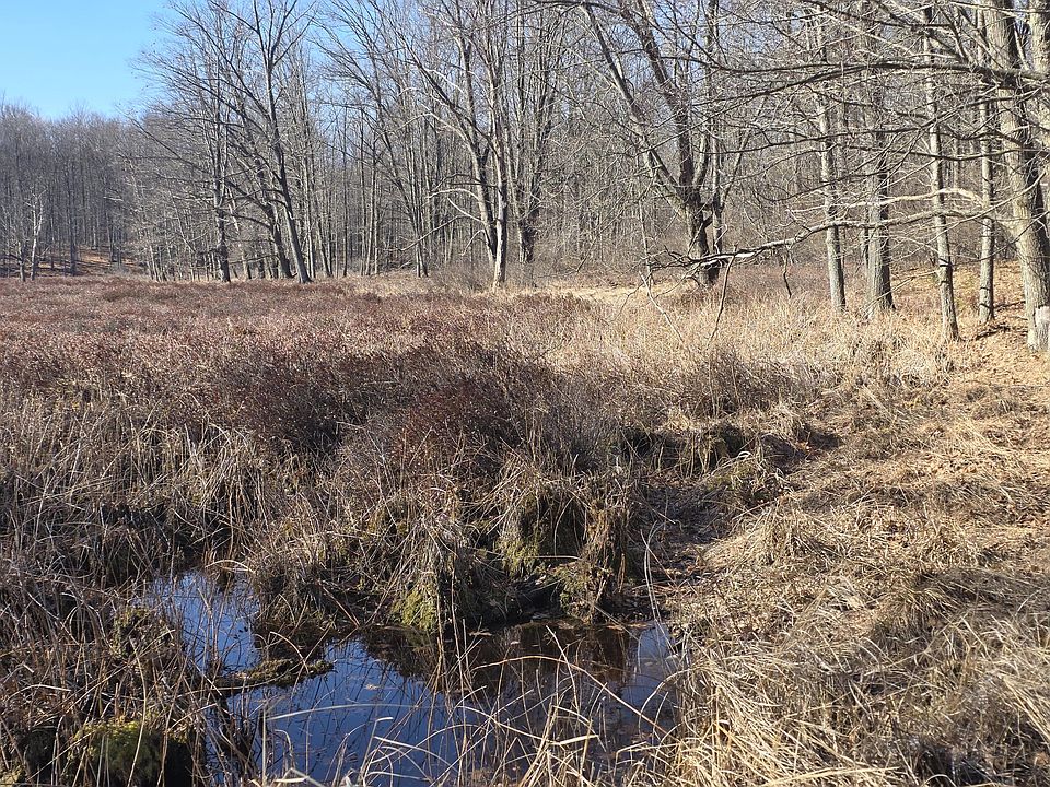 1st image of 2 Mile Rd