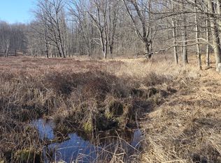 2 Mile Rd, Evart, MI 49631