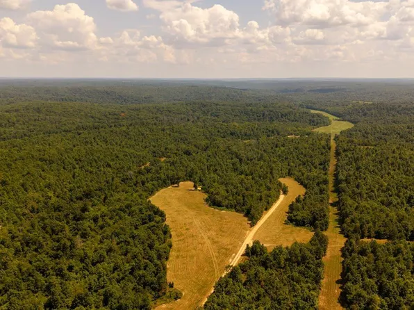 County Road 443, Birch Tree, MO 65438