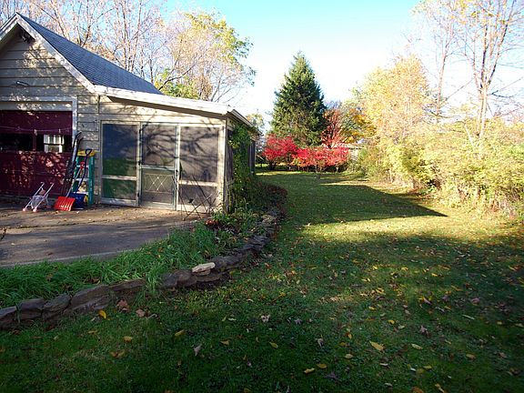 Back yard