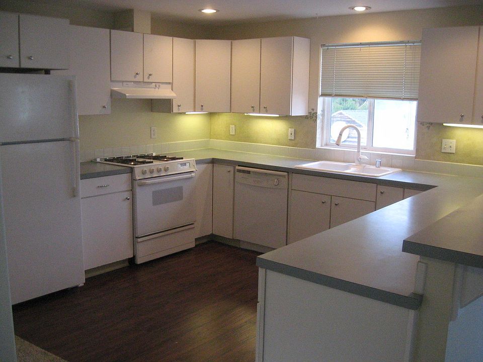 Refrigerator, Dishwasher, Gas Range and oven only a few year